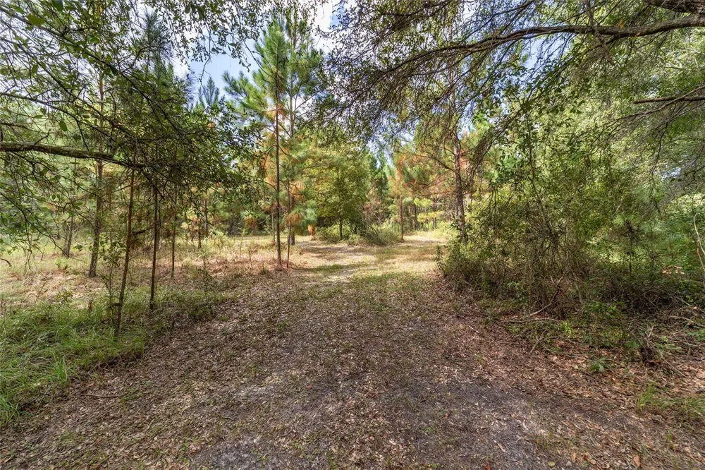 15600 NW 185TH STREET Williston, FL 32696