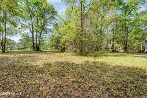 161 Maple Creek Drive
