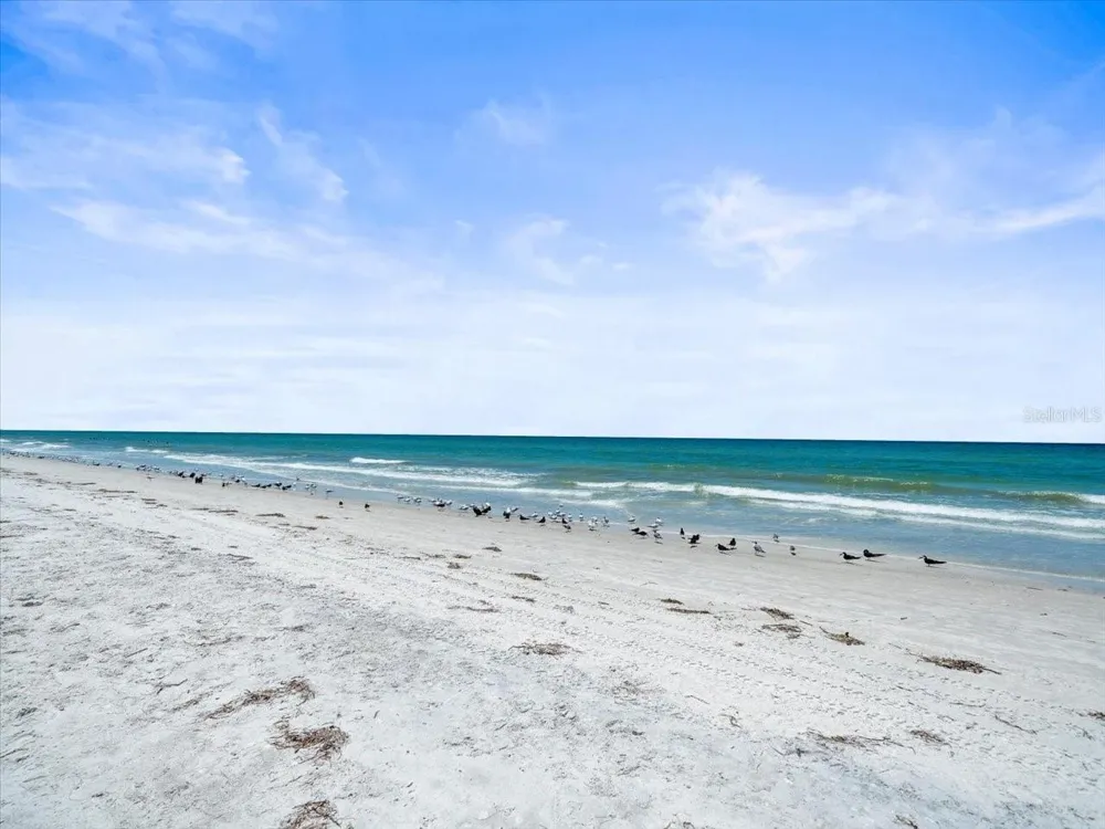 18218 SUNSET BOULEVARD #B St Petersburg, FL 33708