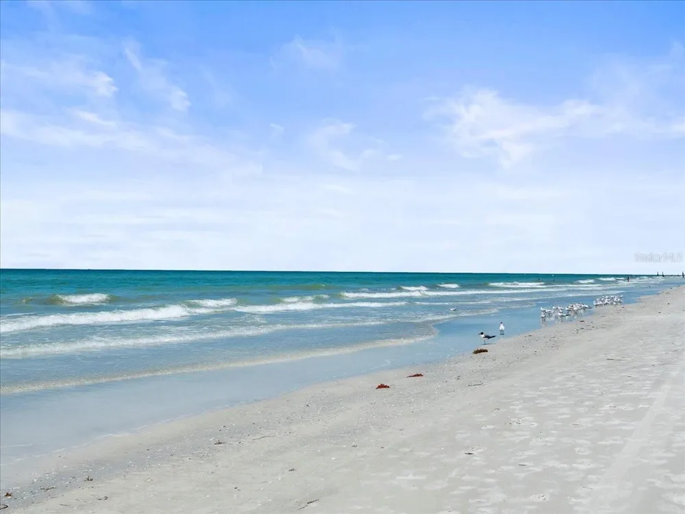 18218 SUNSET BOULEVARD #B St Petersburg, FL 33708