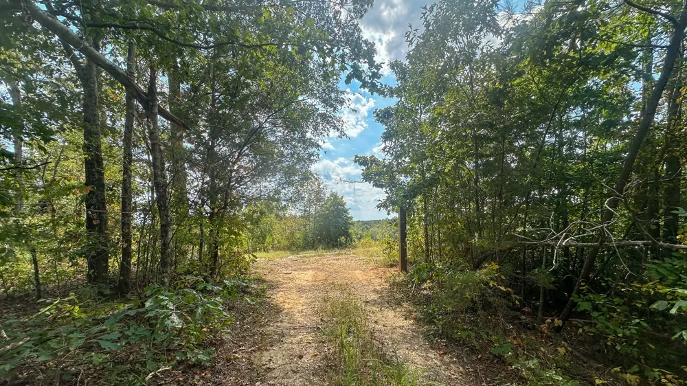 0 Jeannette Holladay Rd Parsons, TN 38363
