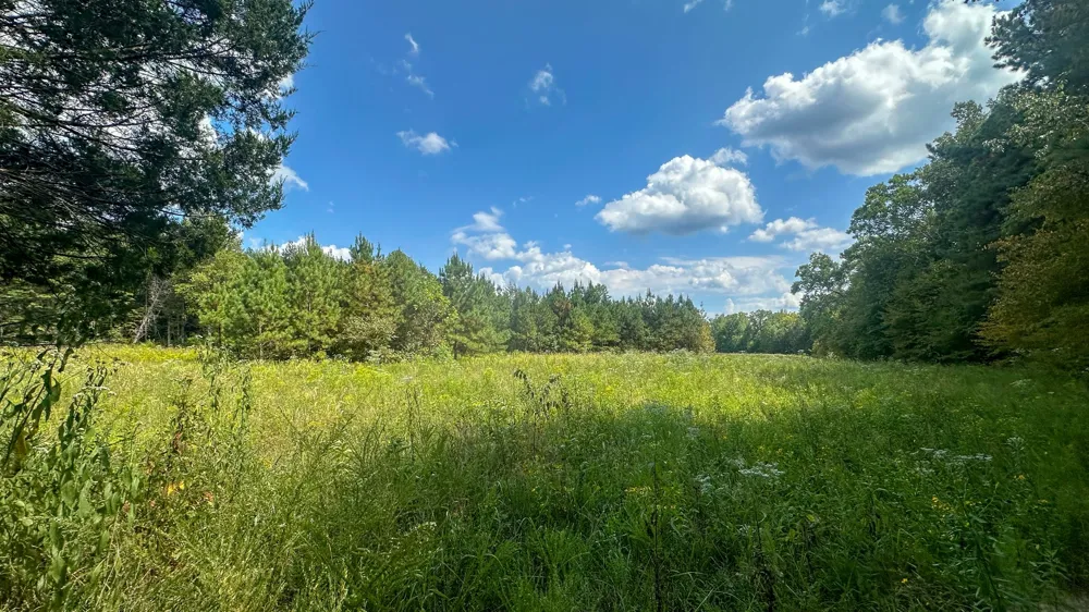0 Jeannette Holladay Rd Parsons, TN 38363