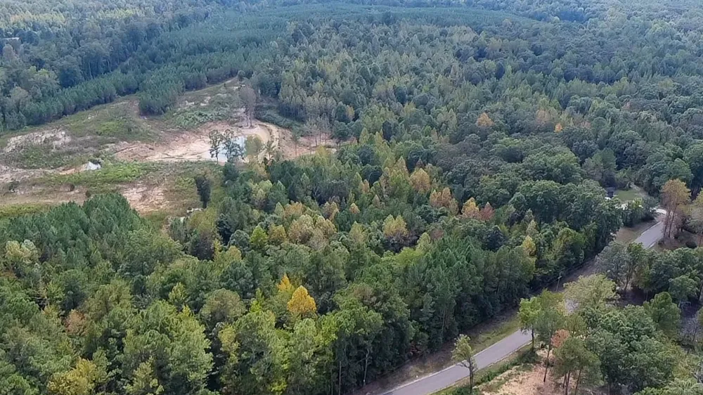 0 Jeannette Holladay Rd Parsons, TN 38363