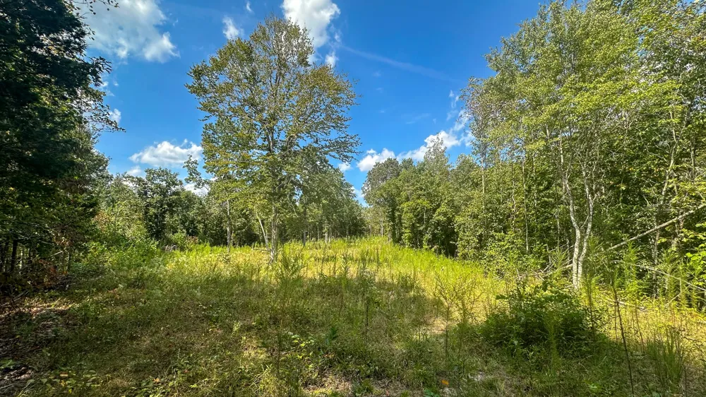 0 Jeannette Holladay Rd Parsons, TN 38363