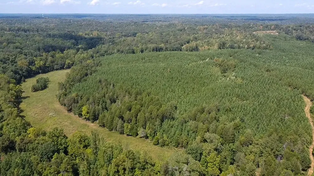 0 Jeannette Holladay Rd Parsons, TN 38363