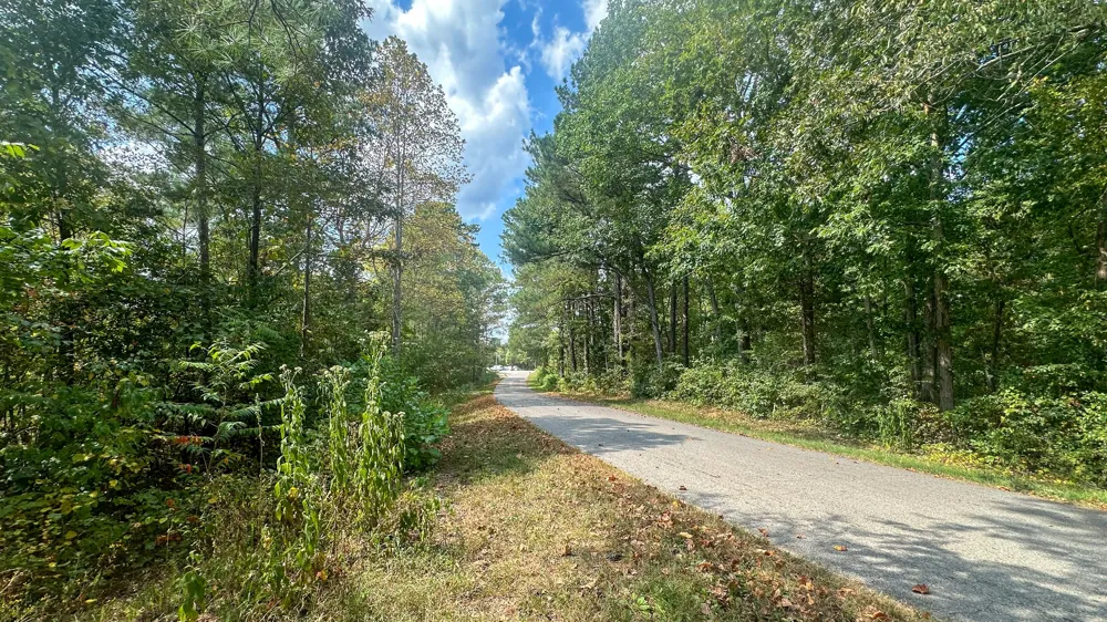 0 Jeannette Holladay Rd Parsons, TN 38363