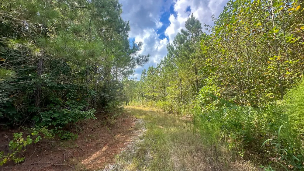 0 Jeannette Holladay Rd Parsons, TN 38363