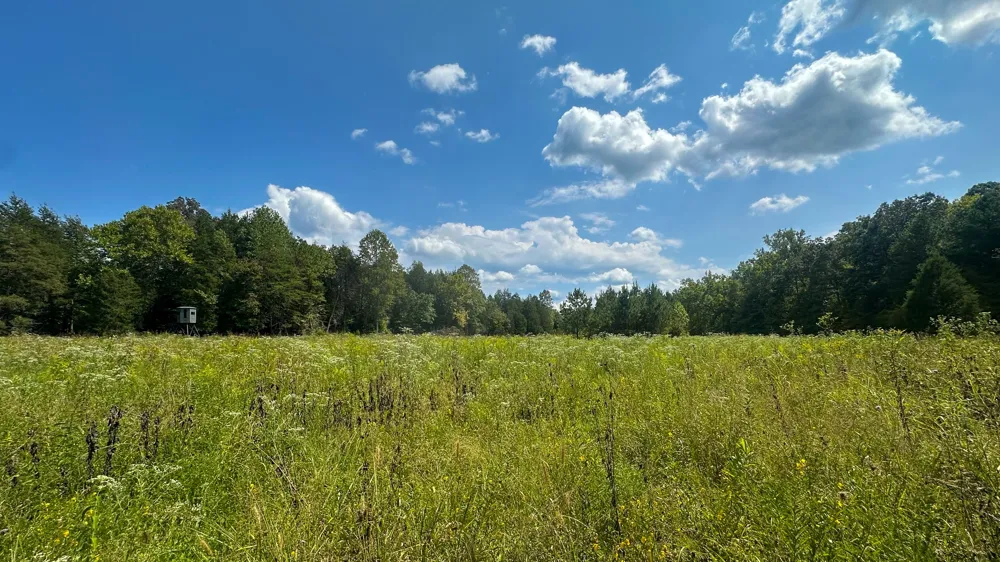0 Jeannette Holladay Rd Parsons, TN 38363