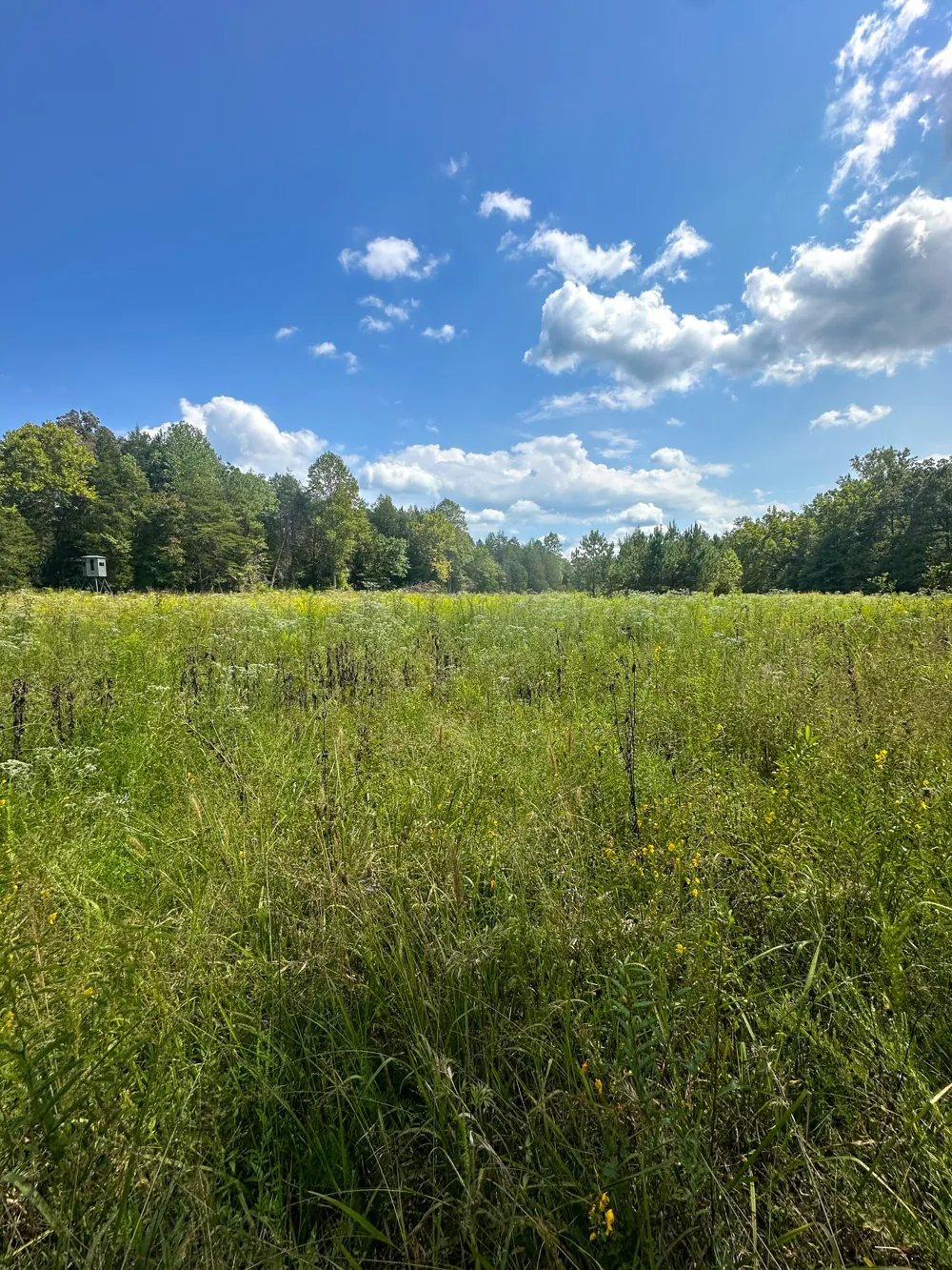 0 Jeannette Holladay Rd Parsons, TN 38363