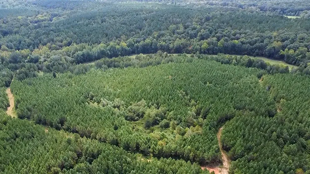0 Jeannette Holladay Rd Parsons, TN 38363