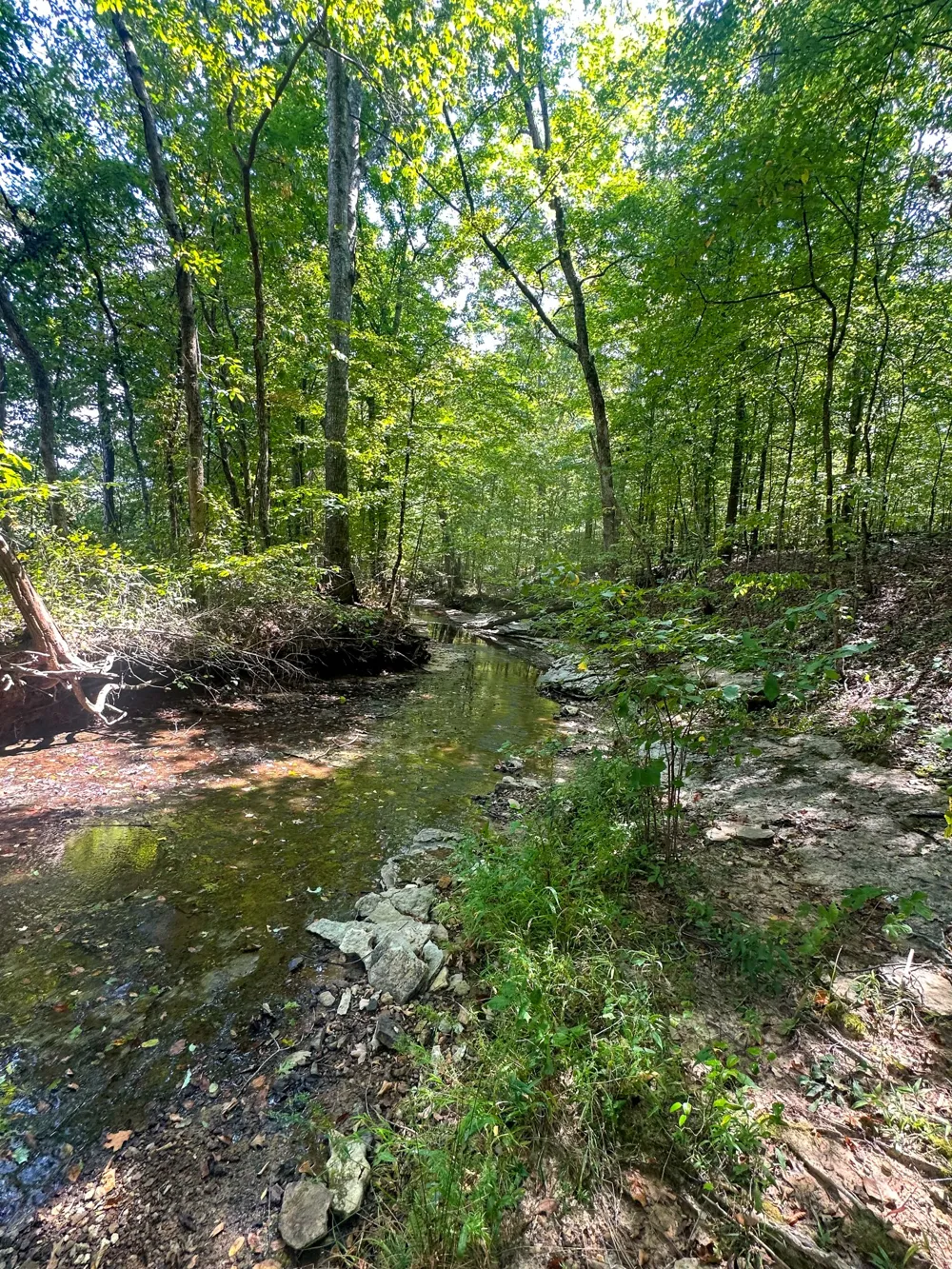 0 Jeannette Holladay Rd Parsons, TN 38363