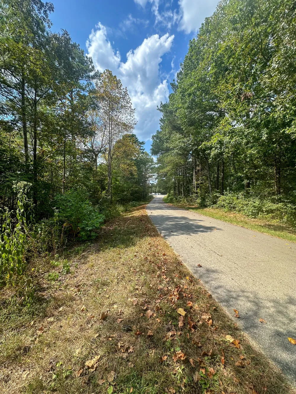 0 Jeannette Holladay Rd Parsons, TN 38363