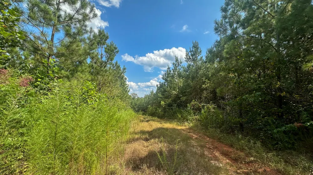 0 Jeannette Holladay Rd Parsons, TN 38363