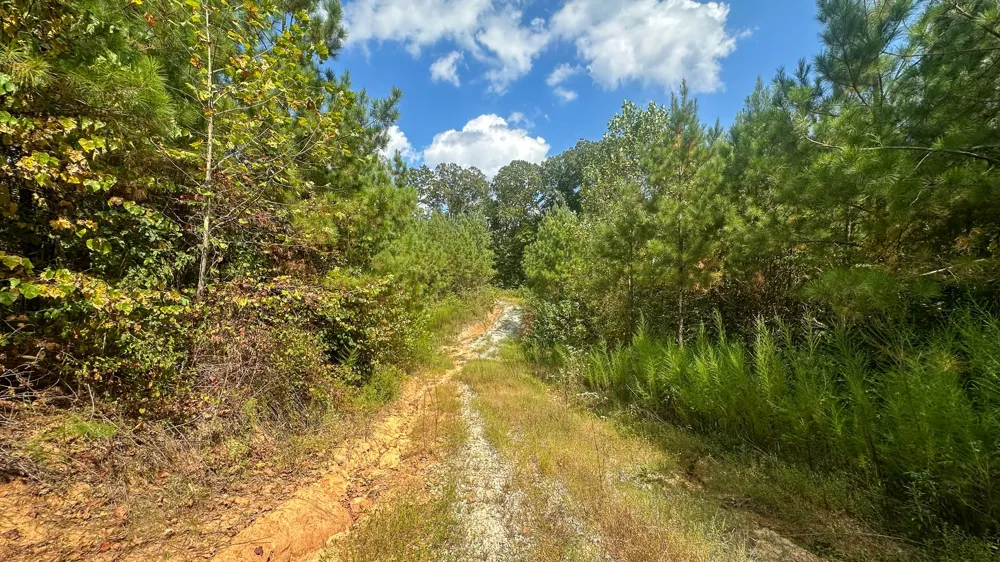 0 Jeannette Holladay Rd Parsons, TN 38363