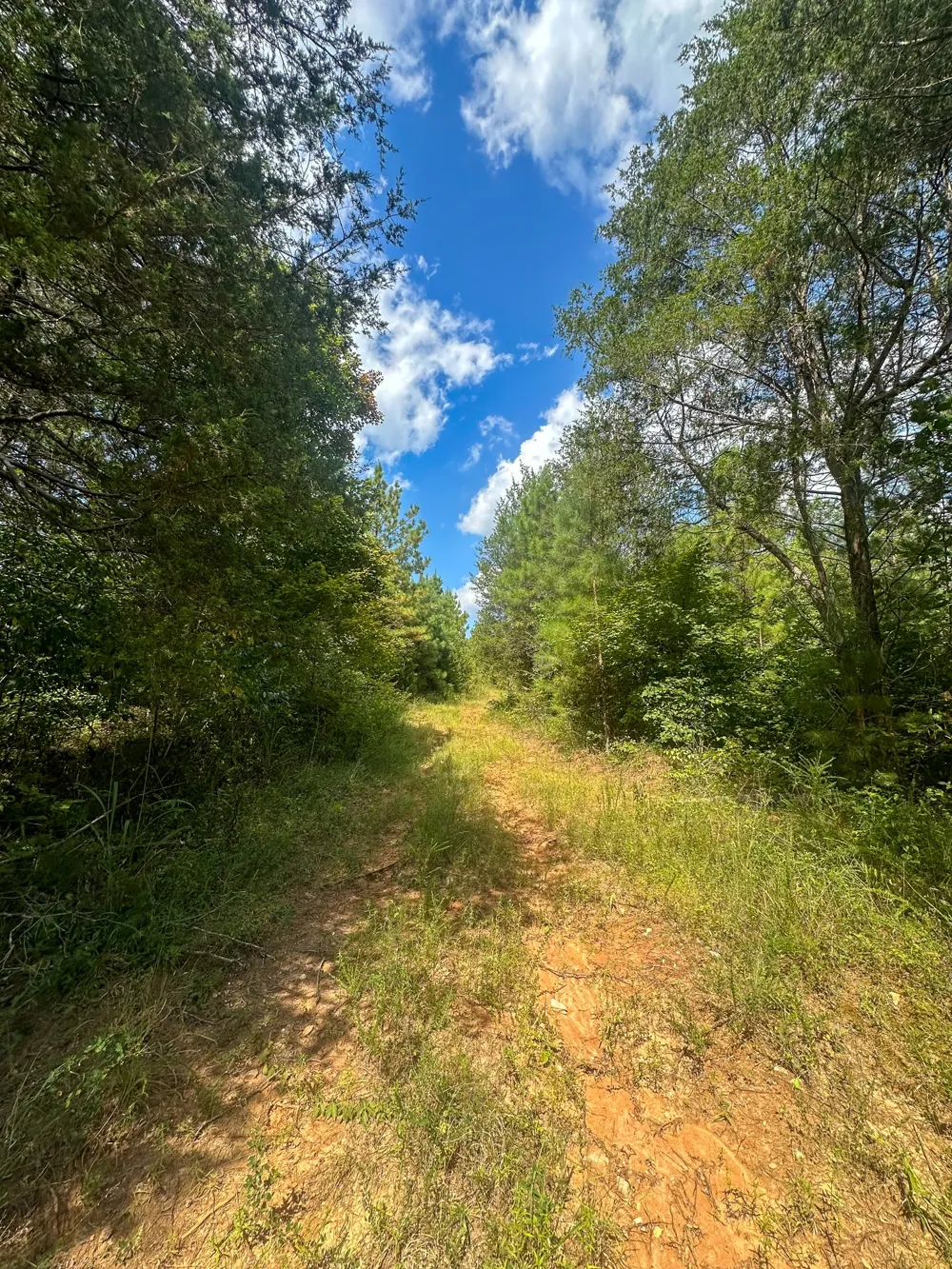 0 Jeannette Holladay Rd Parsons, TN 38363