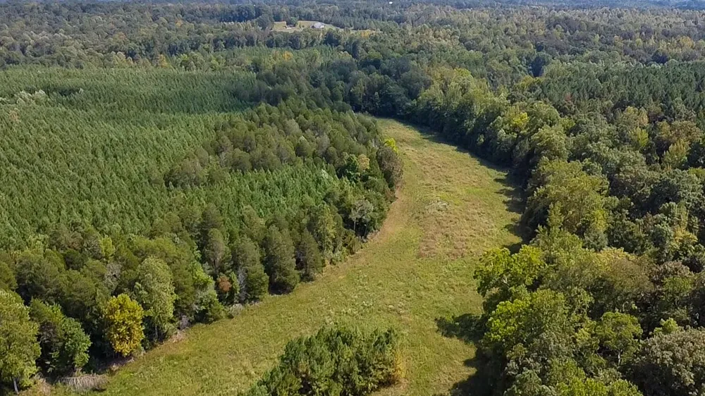 0 Jeannette Holladay Rd Parsons, TN 38363