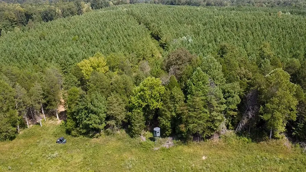 0 Jeannette Holladay Rd Parsons, TN 38363