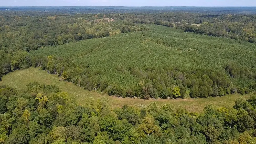 0 Jeannette Holladay Rd Parsons, TN 38363