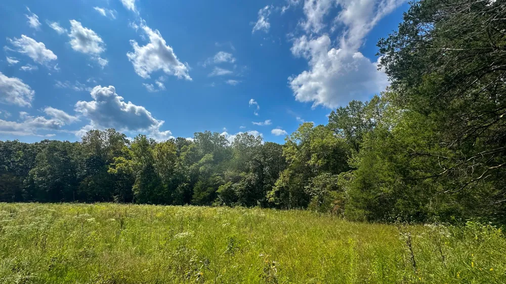0 Jeannette Holladay Rd Parsons, TN 38363