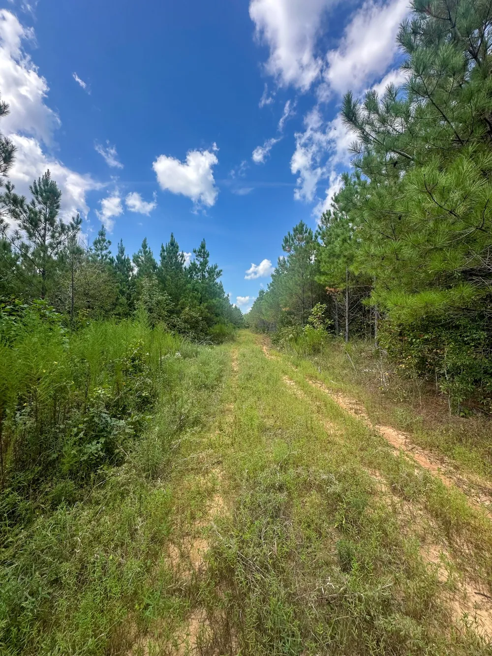 0 Jeannette Holladay Rd Parsons, TN 38363