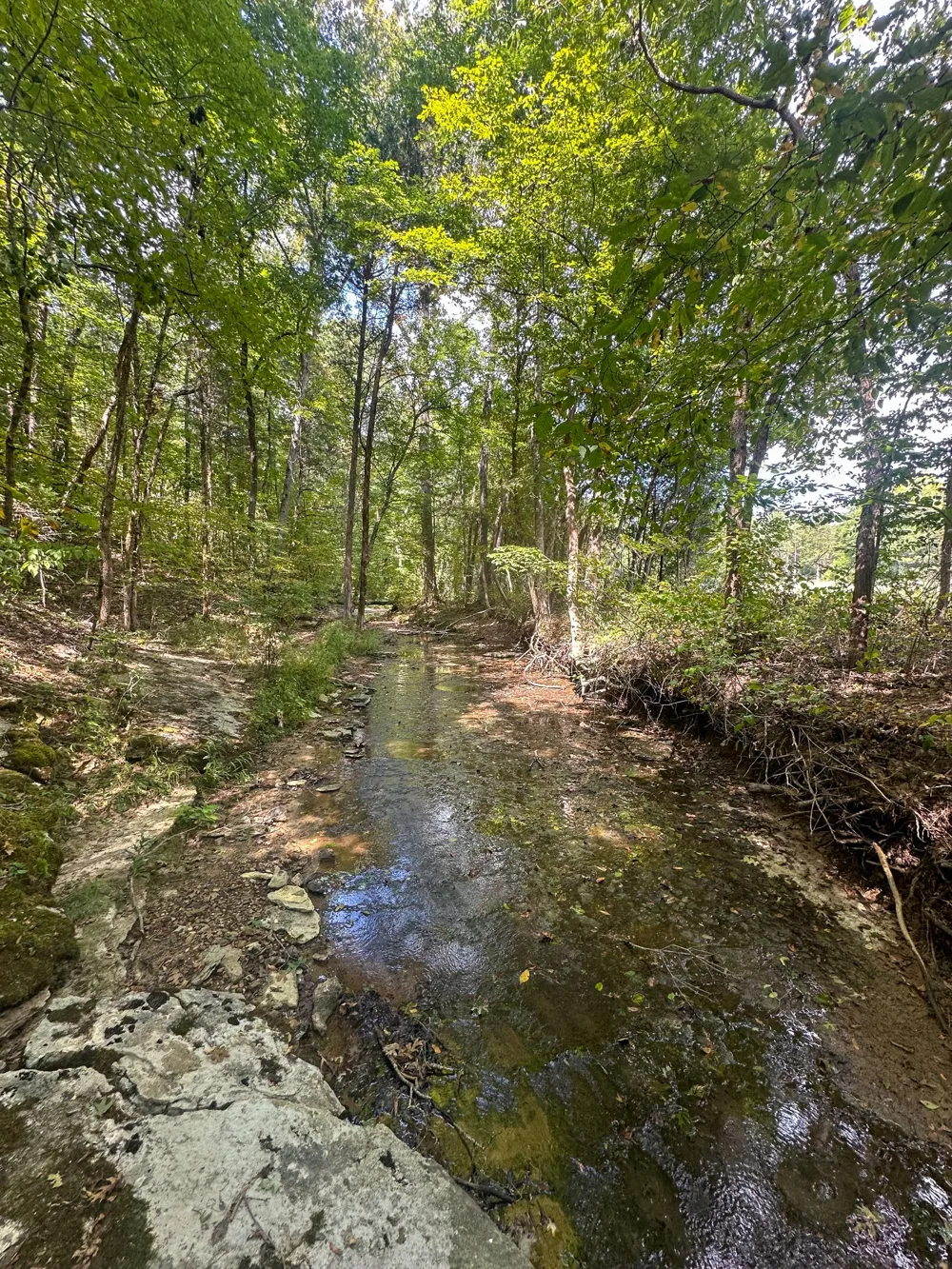 0 Jeannette Holladay Rd Parsons, TN 38363