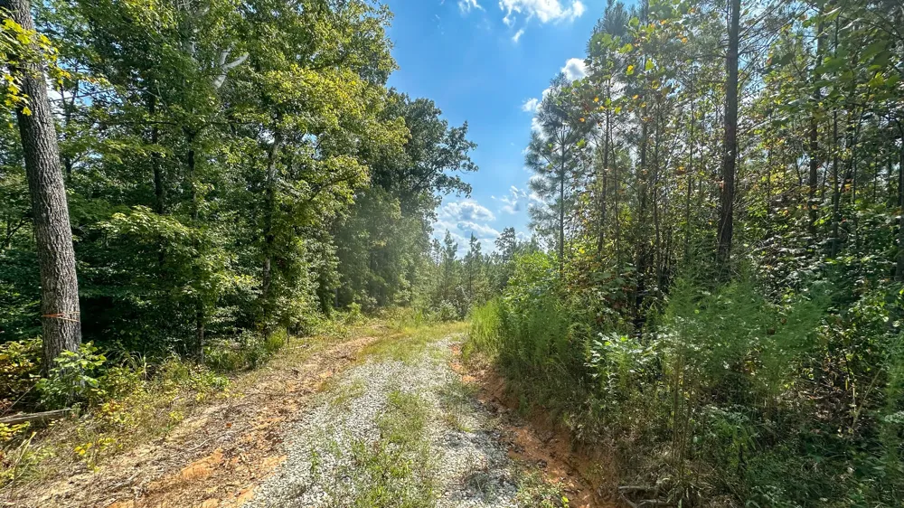 0 Jeannette Holladay Rd Parsons, TN 38363