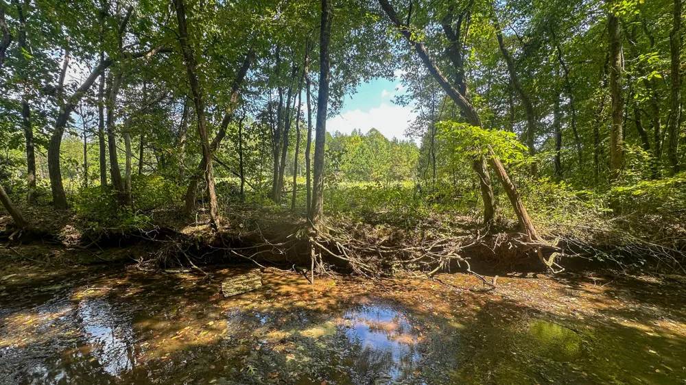 0 Jeannette Holladay Rd Parsons, TN 38363