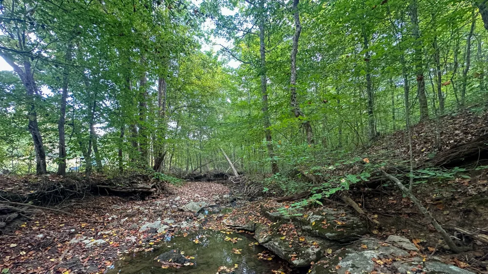 0 Jeannette Holladay Rd Parsons, TN 38363