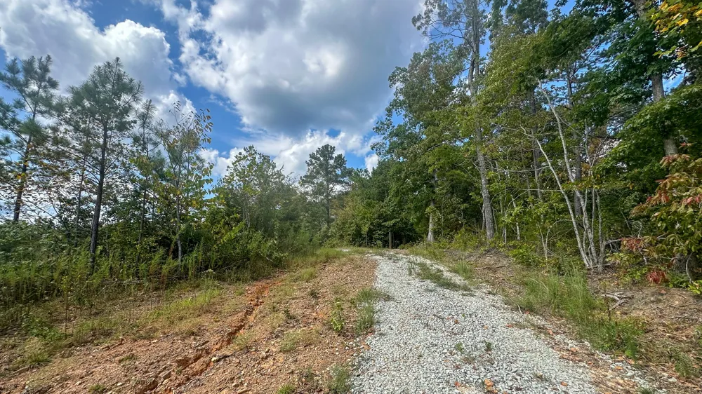 0 Jeannette Holladay Rd Parsons, TN 38363