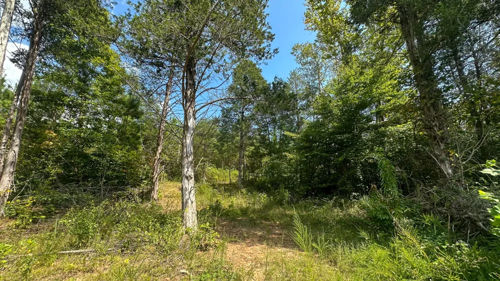0 Jeannette Holladay Rd Parsons, TN 38363
