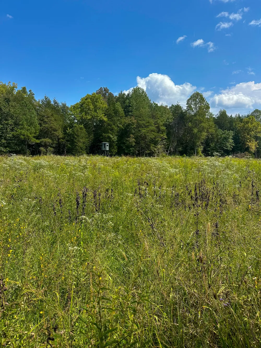 0 Jeannette Holladay Rd Parsons, TN 38363