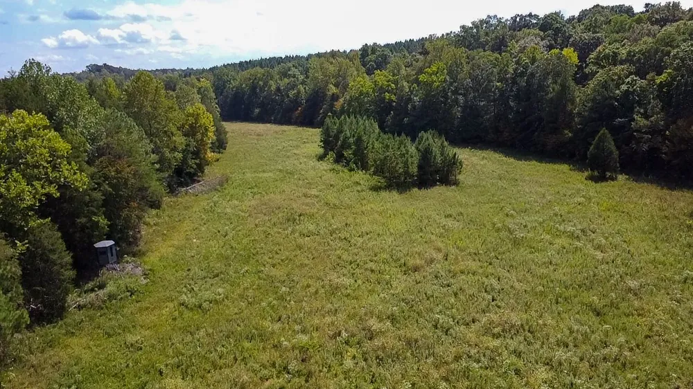 0 Jeannette Holladay Rd Parsons, TN 38363