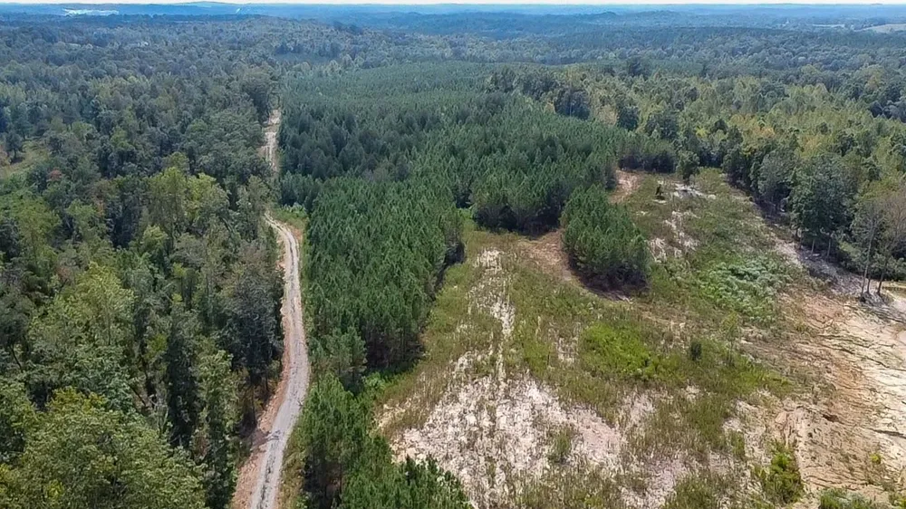 0 Jeannette Holladay Rd Parsons, TN 38363