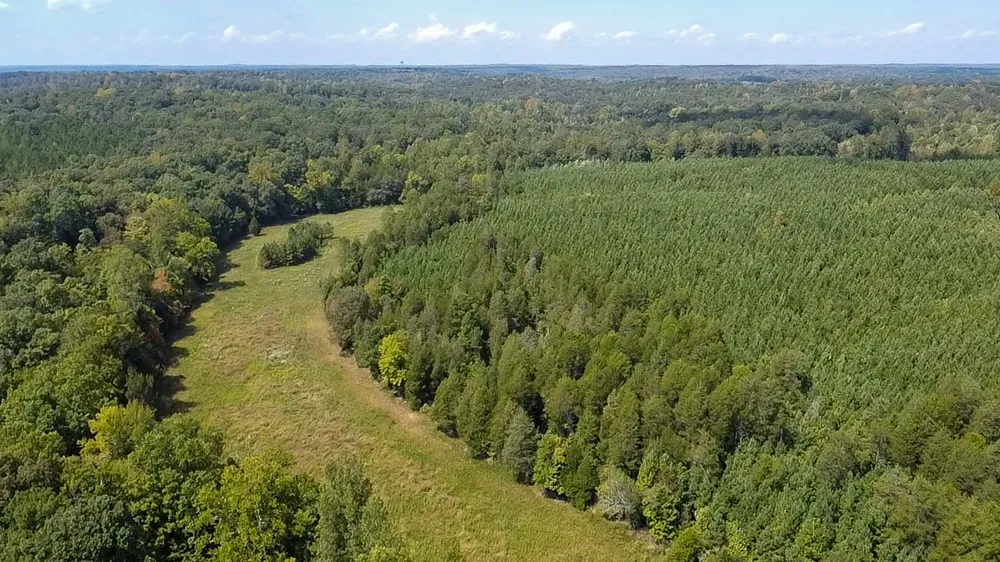 0 Jeannette Holladay Rd Parsons, TN 38363