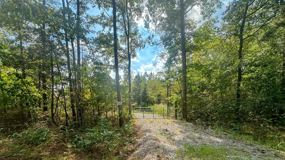 0 Jeannette Holladay Rd Parsons, TN 38363