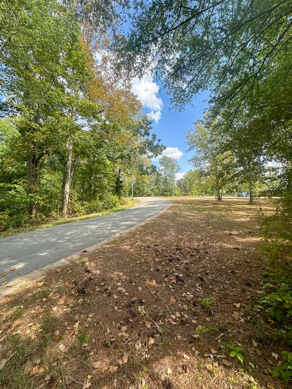 0 Jeannette Holladay Rd Parsons, TN 38363