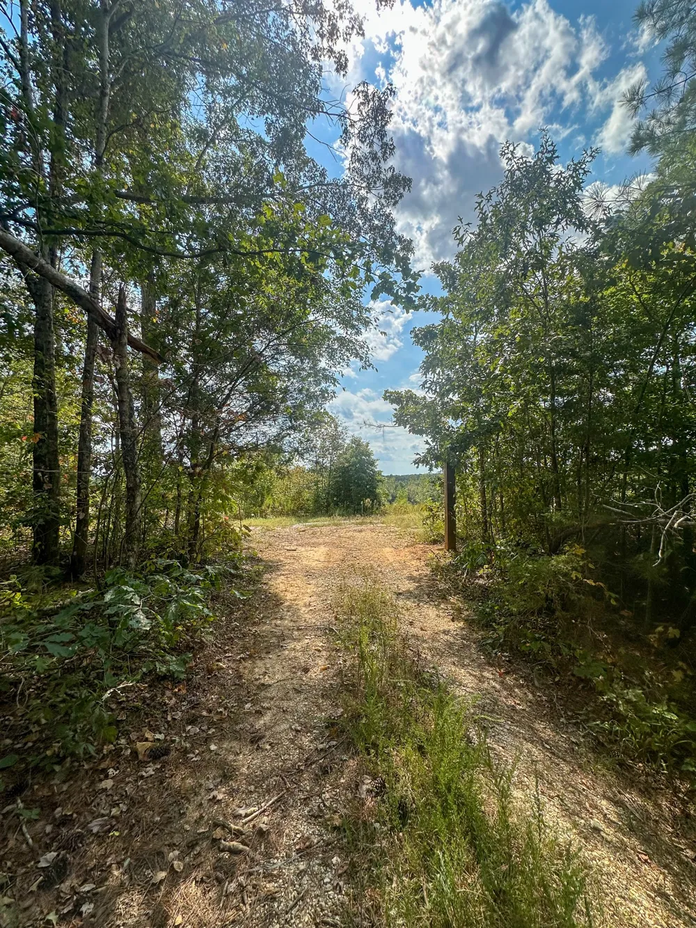 0 Jeannette Holladay Rd Parsons, TN 38363