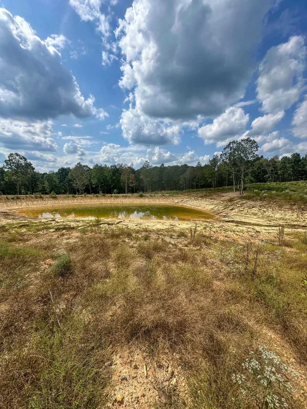 0 Jeannette Holladay Rd Parsons, TN 38363