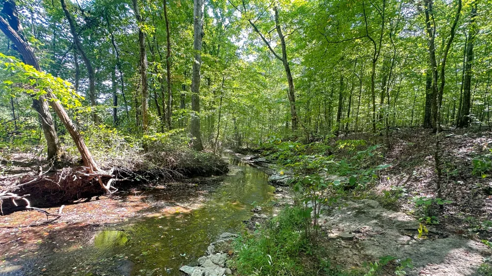 0 Jeannette Holladay Rd Parsons, TN 38363