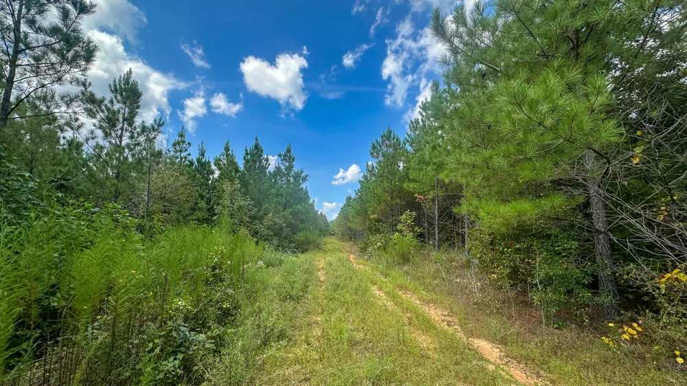 0 Jeannette Holladay Rd Parsons, TN 38363