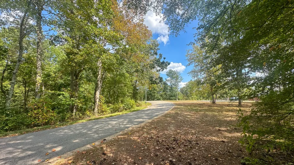 0 Jeannette Holladay Rd Parsons, TN 38363