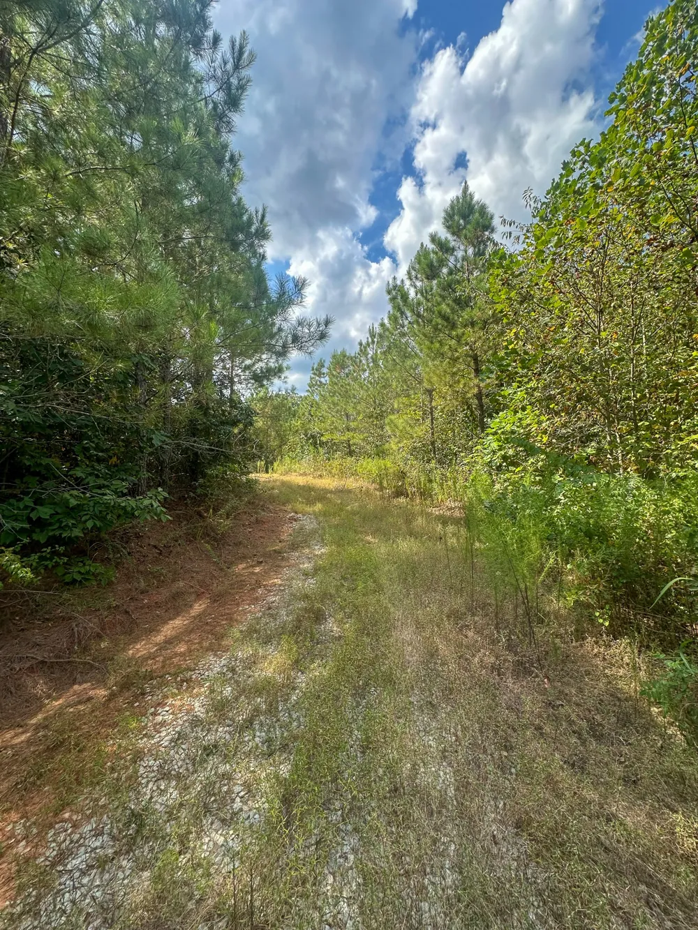 0 Jeannette Holladay Rd Parsons, TN 38363