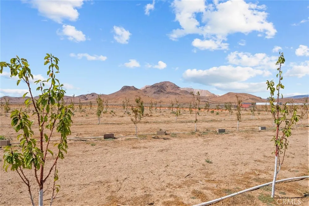 9200 Sierra Hwy Mojave, CA 93501