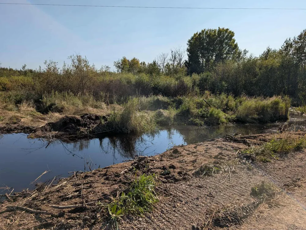 3XXX County Rd 132 Kettle River, MN 55757