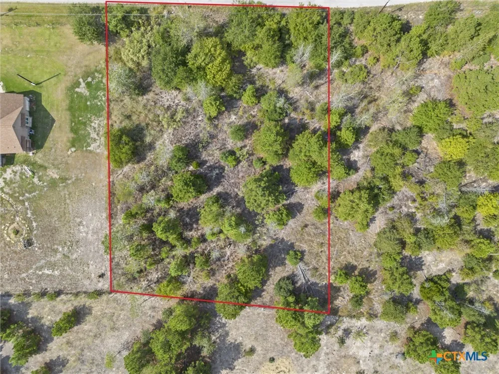 Tonkawa Drive Paige, TX 78659