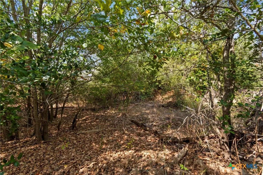 Tonkawa Drive Paige, TX 78659