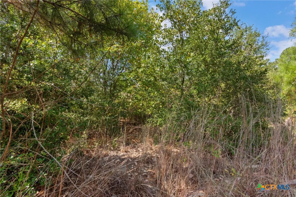 Tonkawa Drive Paige, TX 78659