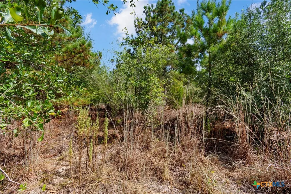 Tonkawa Drive Paige, TX 78659