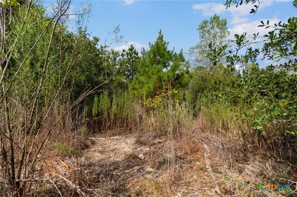 Tonkawa Drive Paige, TX 78659