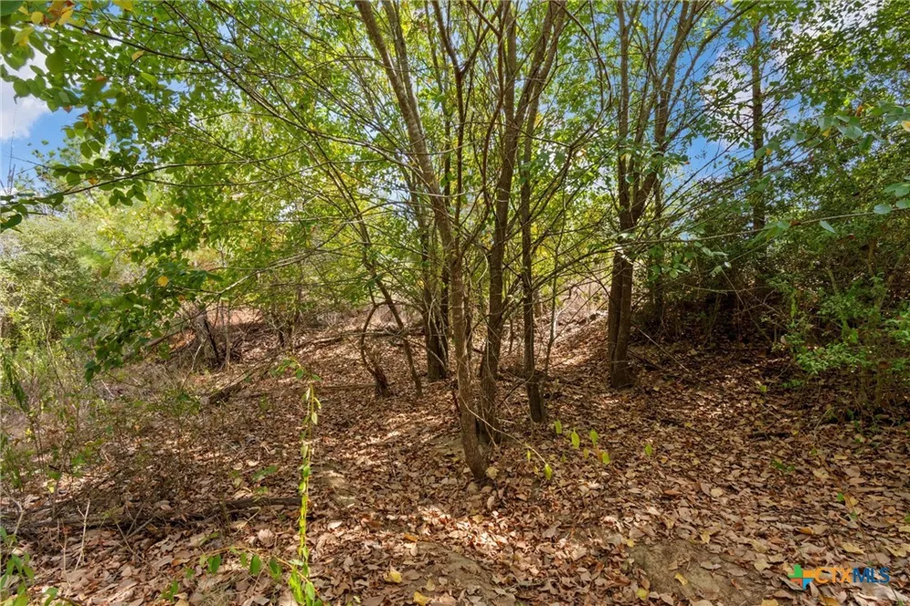 Tonkawa Drive Paige, TX 78659